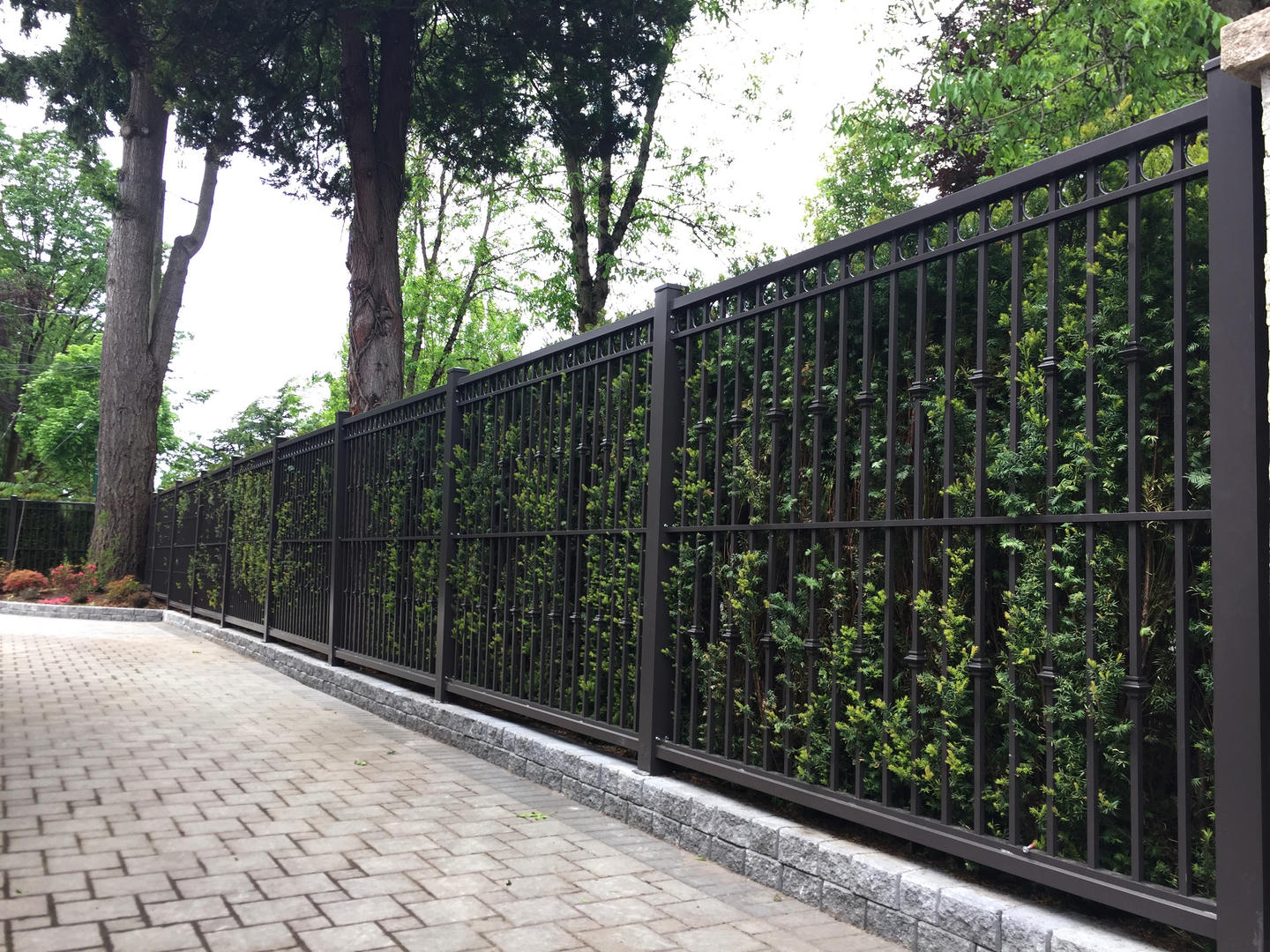 Black classical backyard fencing